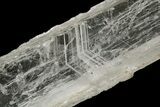 Water-Clear, Selenite Crystal - China #226092-2